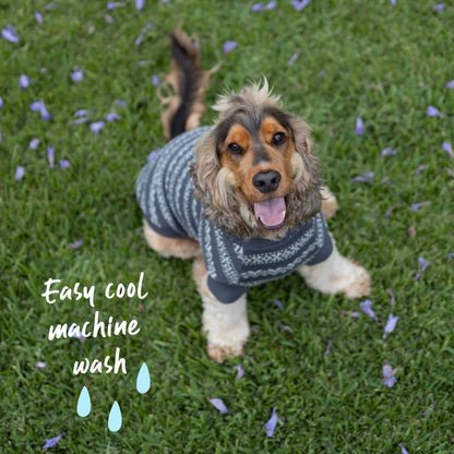 Winter Wonder Dog Jumper