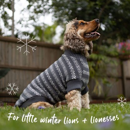 Winter Wonder Dog Jumper