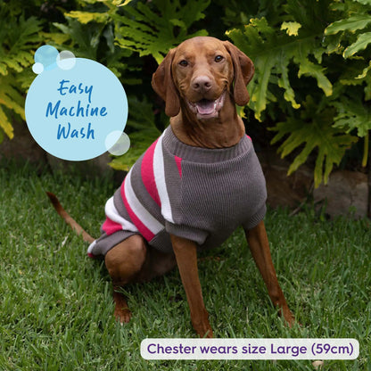 Chestie Dog Jumper - Pink
