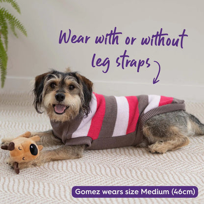Chestie Dog Jumper - Pink