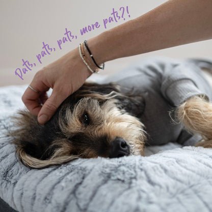 Long John Dog Pyjamas - Grey