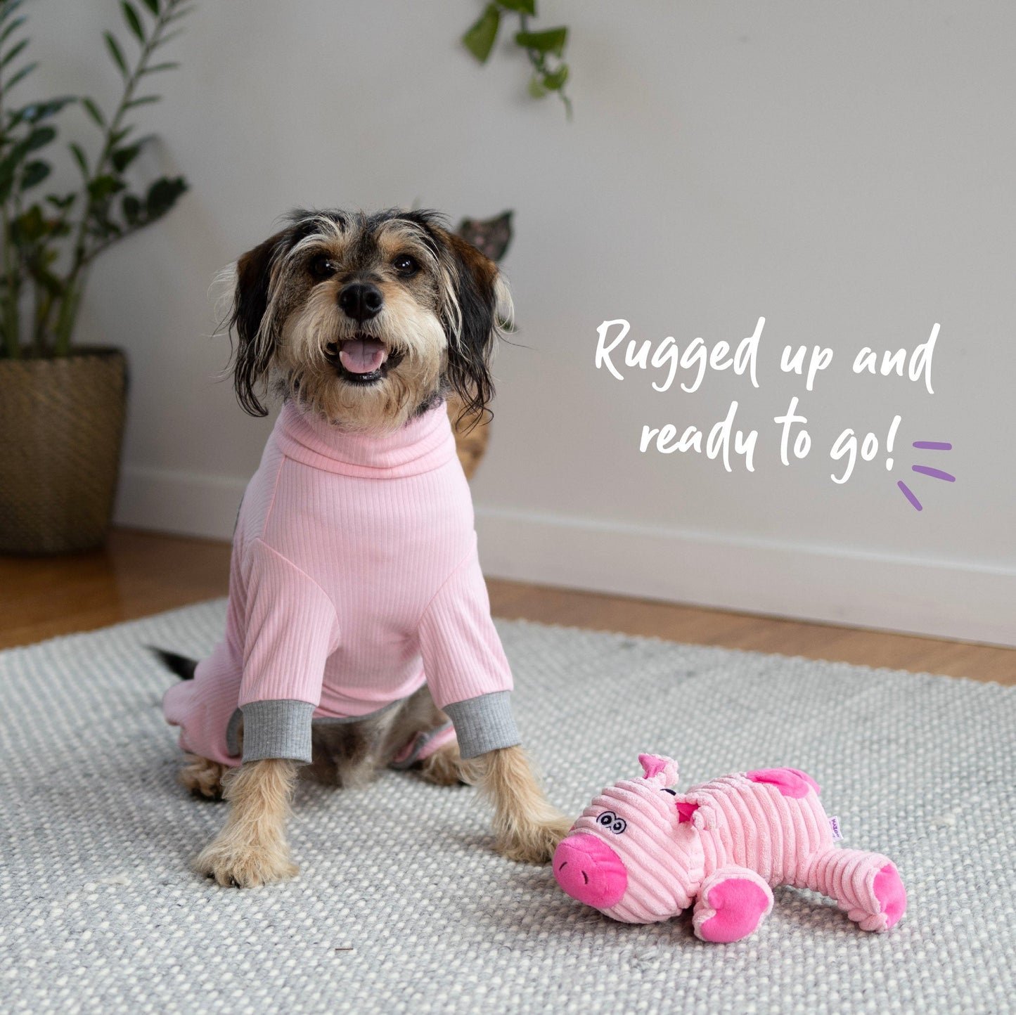 Long John Dog Pyjamas - Pink