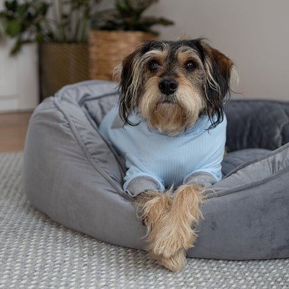 Long John Dog Pyjamas - Blue