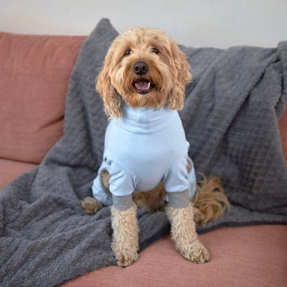Long John Dog Pyjamas - Blue