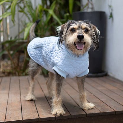 Flower Dog Jacket - Blue