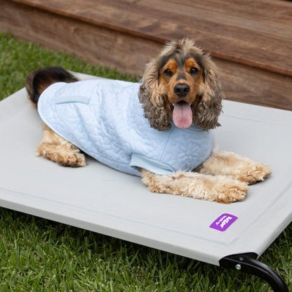 Flower Dog Jacket - Blue