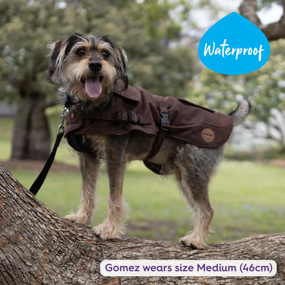 Aussie Oilskin Waterproof Dog Coat - Brown
