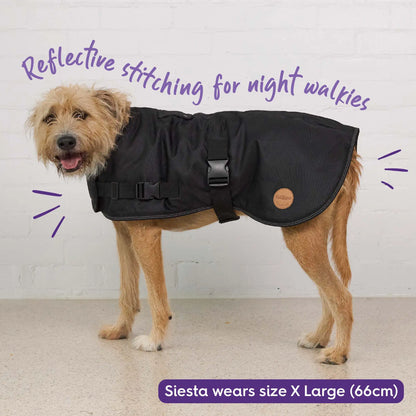 Adventure Dog Coat with Harness Hatch - Black