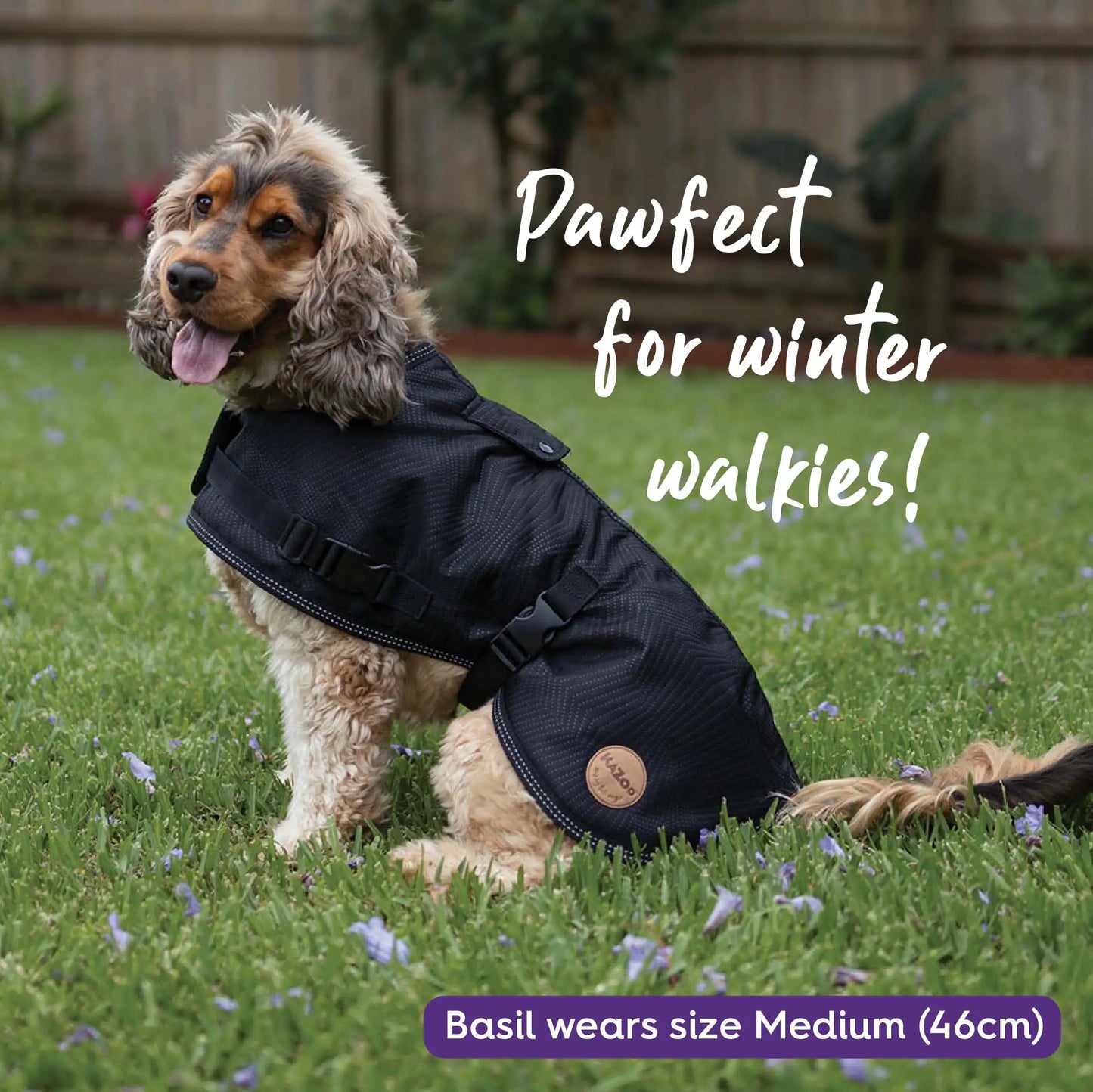Adventure Dog Coat with Harness Hatch - Black