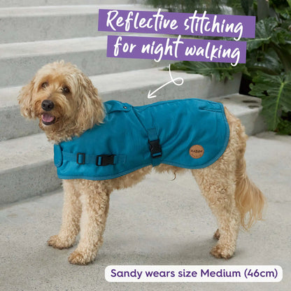 Adventure Dog Coat with Harness Hatch - Blue