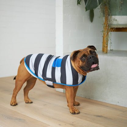 Chunky Stripe Dog Snuggie