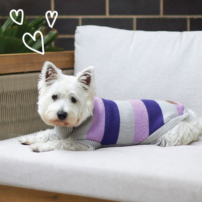 Bumble Dog Jumper - Lavender