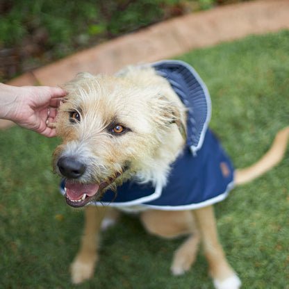 Cosy Dog Raincoat - Lagoon