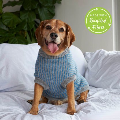 Blue Button Up Knit Dog Jumper