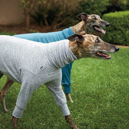 Greyhound Softie Jumper - Grey